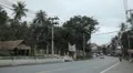 Tropical Forest in Samui Island, Amazing Thailand, Palm Tree, Traffic Car, Road HD Footage
