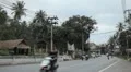 Tropical Forest in Samui Island, Amazing Thailand, Palm Tree, Traffic Car, Road HD Footage