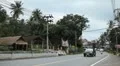 Tropical Forest in Samui Island, Amazing Thailand, Palm Tree, Traffic Car, Road HD Footage