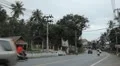Tropical Forest in Samui Island, Amazing Thailand, Palm Tree, Traffic Car, Road HD Footage