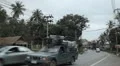 Tropical Forest in Samui Island, Amazing Thailand, Palm Tree, Traffic Car, Road HD Footage