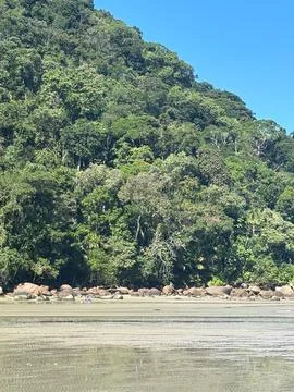 Tropical forest by the seaside Stock Photos