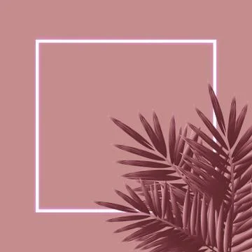 Tropical Forest With Square Frame On Pink Background. Stock Illustration