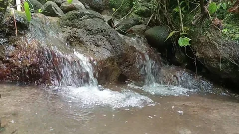 Tropical Forest Stream Flowing Over Rocks in Natural Jungle Stock Footage 329779587