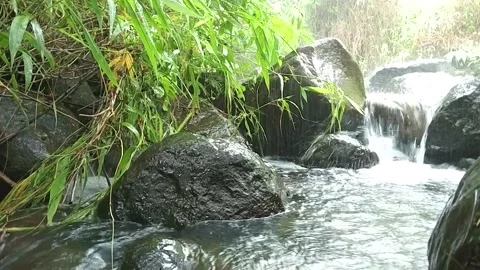 Tropical Forest Stream Flowing Through Rocks | Fresh Jungle Water Scene Stock Footage 330546171