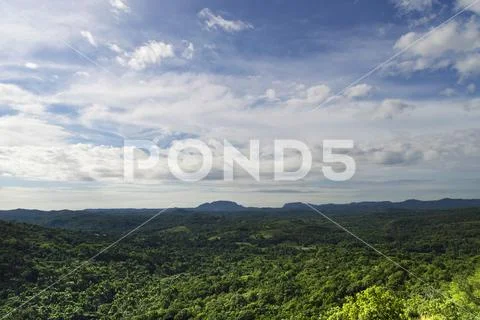 Tropical forest in the valley, with hills in the background, against the back Stock Photos