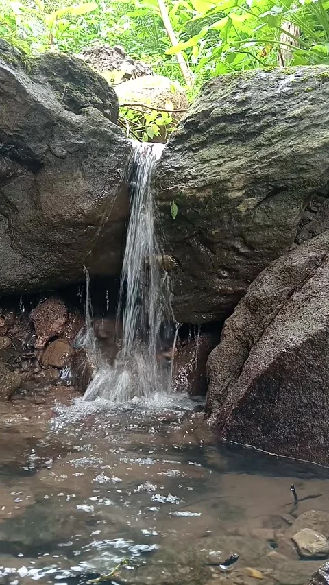 Tropical Forest Waterfall Flowing into Clear Stream Stock Footage 330591839
