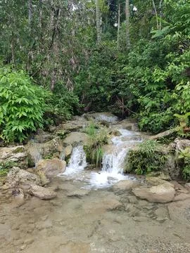 Tropical Forest Waterfall Stock Photos