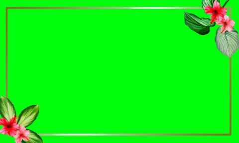 Tropical frame design is simple and easy to apply in your design 库存插图