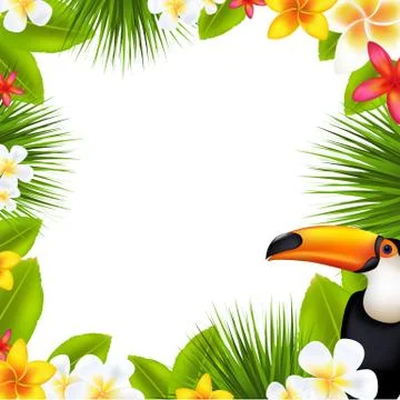 Tropical Frame With Frangipani Stock Illustration