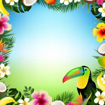 Tropical Frame Stock Illustration