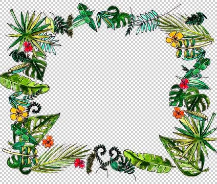 Tropical Frame Stock Illustration