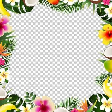 Tropical Frame Isolated Stock Illustration