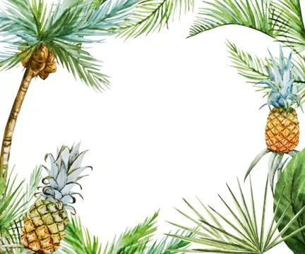Tropical frame vector Stock Illustration