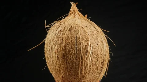 Tropical fruit coconut Stock Footage 102187690