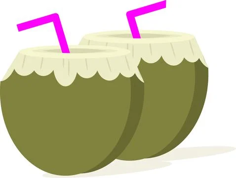 Tropical fruit. Coconut. Stock Illustration