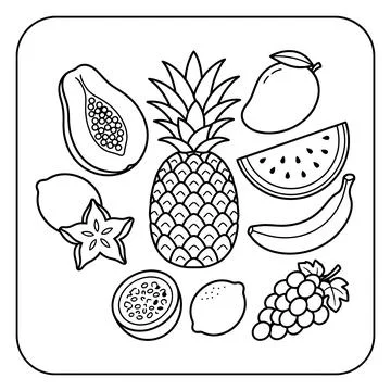Tropical Fruit Coloring Page with Assorted Exotic Fruits Stock Illustration