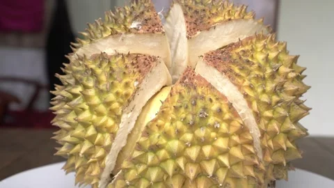 Tropical fruit durian on the table, close-up. Stock Footage 330405745