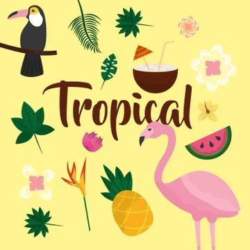 Tropical fruit flower Stock-Illustration