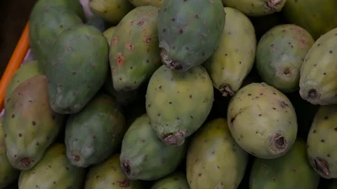 Tropical fruit 스톡 동영상 103031413