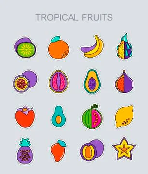 Tropical fruit icons set Stock Illustration