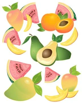 Tropical fruit Stock Illustration