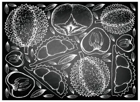 Tropical Fruit, Illustration Background of Hand Drawn Sketch Ripe and Sweet K Stock-Illustration