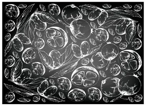 Tropical Fruit, Illustration Wallpaper Background of Hand Drawn Sketch Chines Stock-Illustration