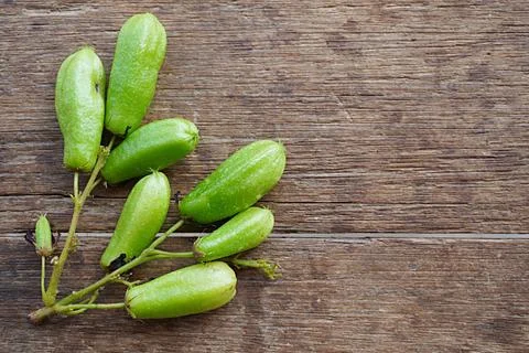 Tropical fruit. In Malay called belimbing Buluh or Averrhoa bilimbi Stock Photos