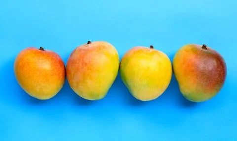 Tropical fruit, Mango  on blue background. Stock Photos