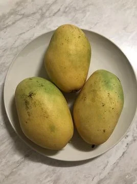 Tropical fruit mango Stock Photos
