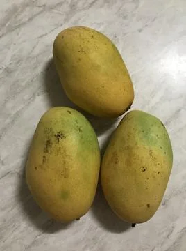 Tropical fruit mango Stock Photos