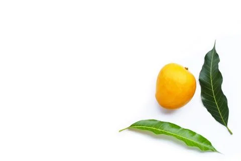 Tropical fruit, Mango  on white background. Stock Photos