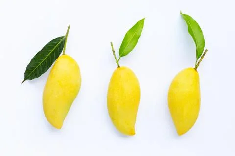 Tropical fruit, Mango  on white background. Stock Photos