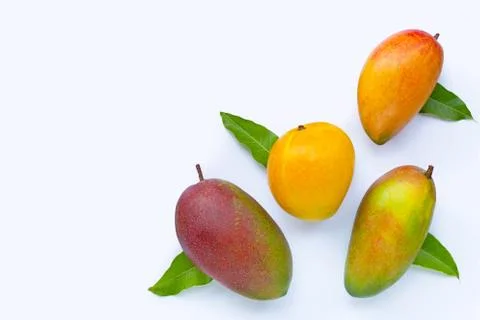 Tropical fruit, Mango  on white background. Stock Photos