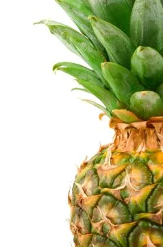 Tropical fruit Stock Photos