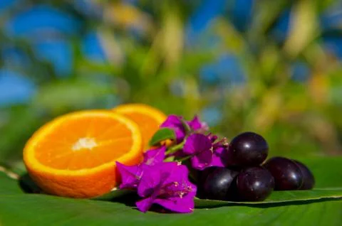 Tropical fruit Stock Photos