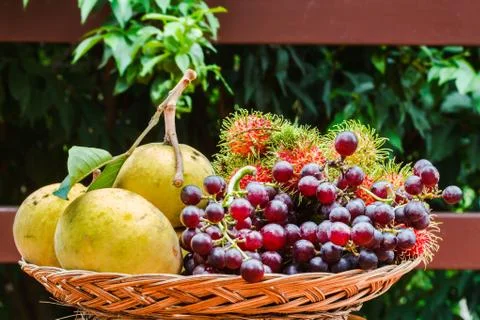 Tropical Fruit Stock Photos