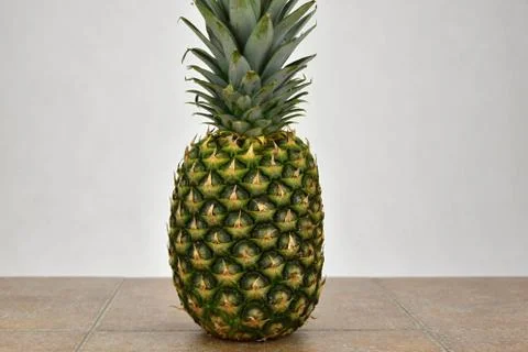 Tropical fruit pineapple, standing on a ceramic tile. Stock Photos