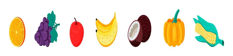 Tropical fruit set vector. Orange, grape, coconut are shown in hand drawn, or Stock-Illustration