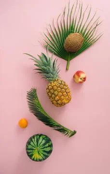 Tropical fruits layout with copy space Stock Photos
