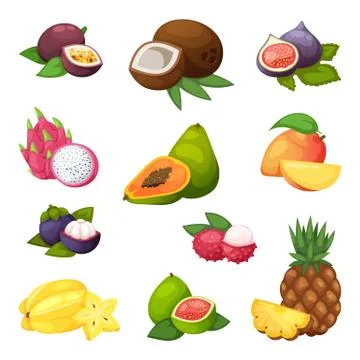 Tropical fruits vector set Stock-Illustration