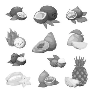 Tropical fruits vector set Stock Illustration