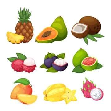 Tropical fruits vector set Illustrazione stock