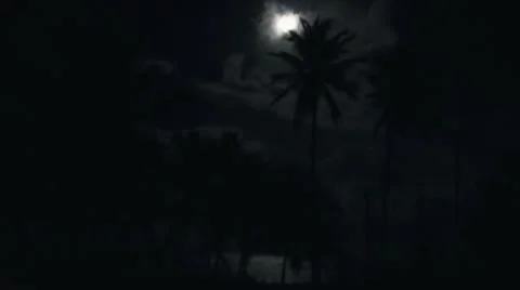 Tropical Full Moon Stock Footage 10598320