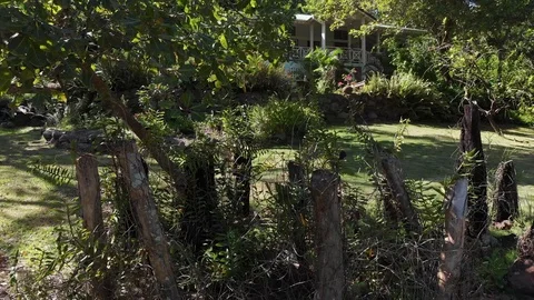 Tropical Garden Stock Footage 105606218