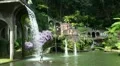 Tropical Garden Madeira 20110422 145539 HD Footage