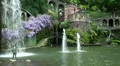 Tropical Garden Madeira 20110422 145805 HD Footage