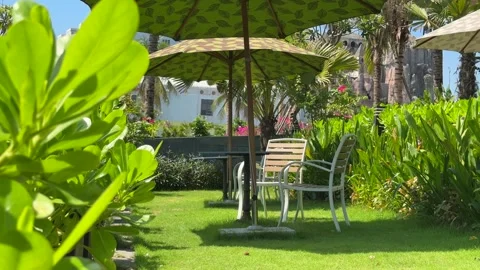Tropical Garden Outside Cafe Seating Under Shadow Umbrella Surrounded by Stock Footage 345375826