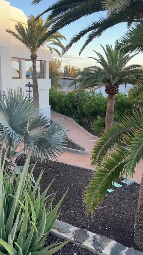 Tropical garden path palm trees resort architecture Fuerteventura HD vertical Stock-Footage 342027771